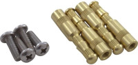 AquaStar Brass Anchor Insert Kit with Screws - Set of 4