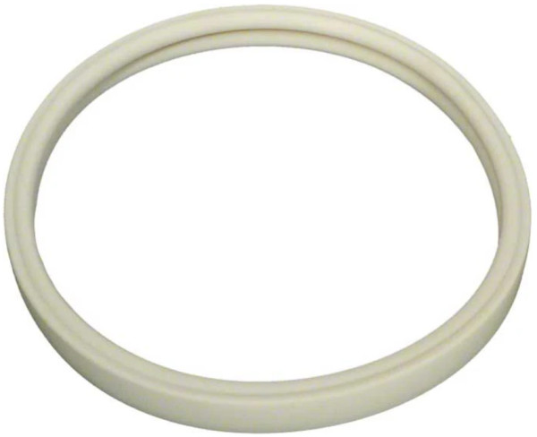 Pentair Amerlite/IntelliBrite Pool Lens Gasket Replacement 79101600Z