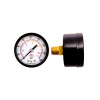 Back Mount Steel Pressure Gauge