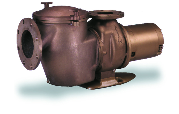 Pentair C Series Commercial Bronze Pumps with Hair & Lint Strainer 011651 011656 011657 011658 011659 011660 011661