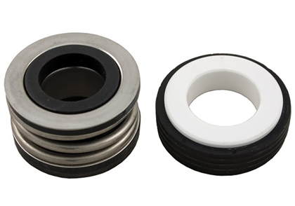 Pump/Motor Seals, Kits, & Bearings