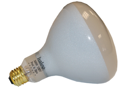 Replacement Incancescent Light Bulbs